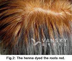 260210094044_Hair-Dying with henna-s.jpg